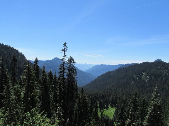 Forested Cascade valley near Chinook Pass with distant peaks