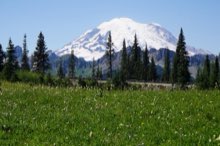 Tipsoo Lake