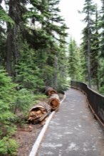 Washington Pass Overlook