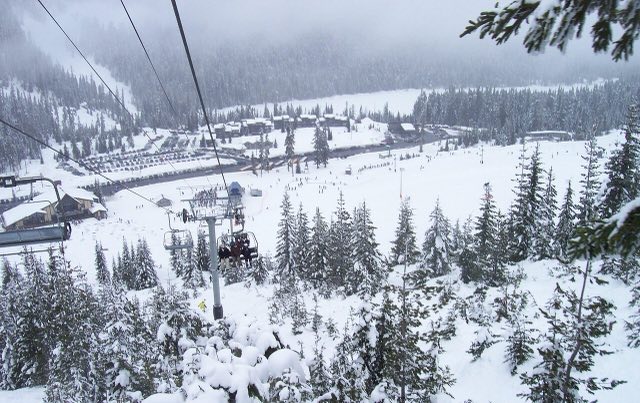 Snowy conditions at White Pass Ski Area, viewed from a chairlift in fog